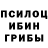 Галлюциногенные грибы Psilocybine cubensis Andrey Krizhanovskiy
